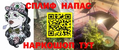 сатива Будённовск