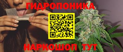 сатива Будённовск