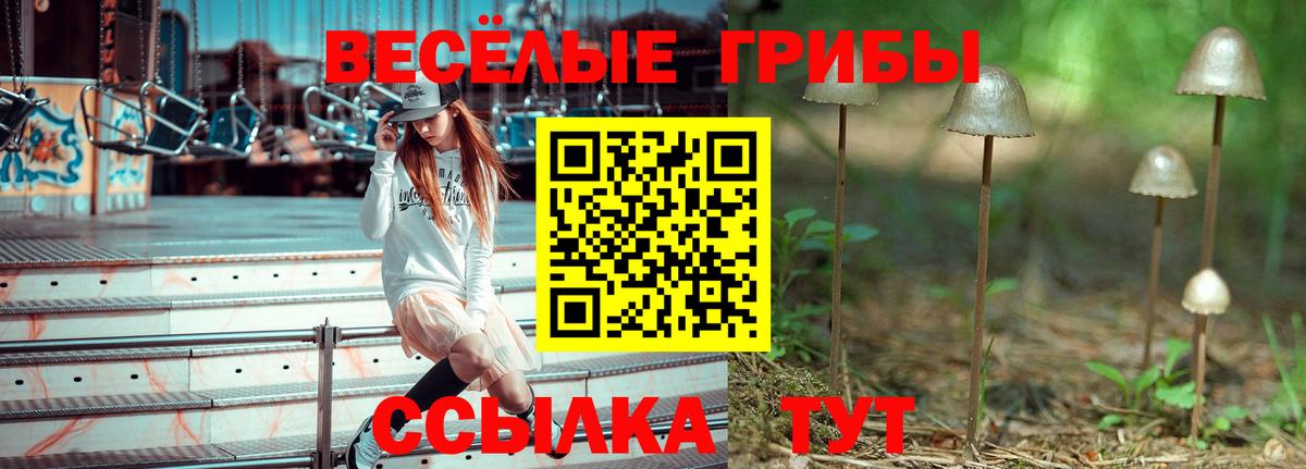 Тихвин  Псилоцибиновые грибы MAGIC MUSHROOMS  Псилоцибиновые грибы прущие грибы  Вход с VPN 